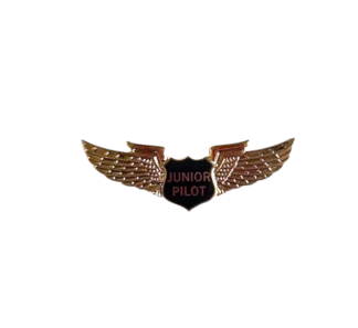 Pin - Junior Pilot Wings