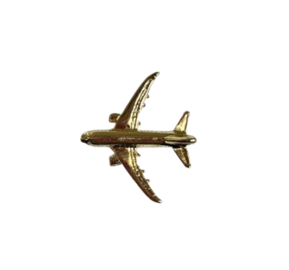 3-D Pin - B787