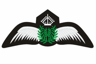 Iron-on badges - Pilot wings silver