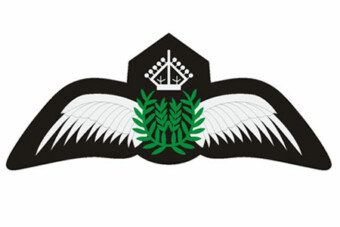 Iron-on badges - Pilot wings silver