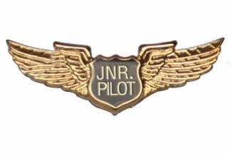 3-D Pin - Junior Pilot wings