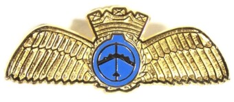AFE Metal Pilot Wings