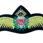 Iron-on Badges - Junior Pilot Wings
