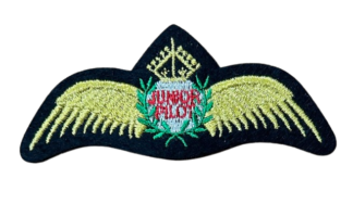 Iron-on Badges - Junior Pilot Wings