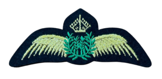 Iron-on badges – Pilot wings gold