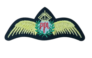 Iron-on Badges – PPL Wings
