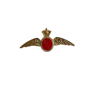 Pin – PPL wings